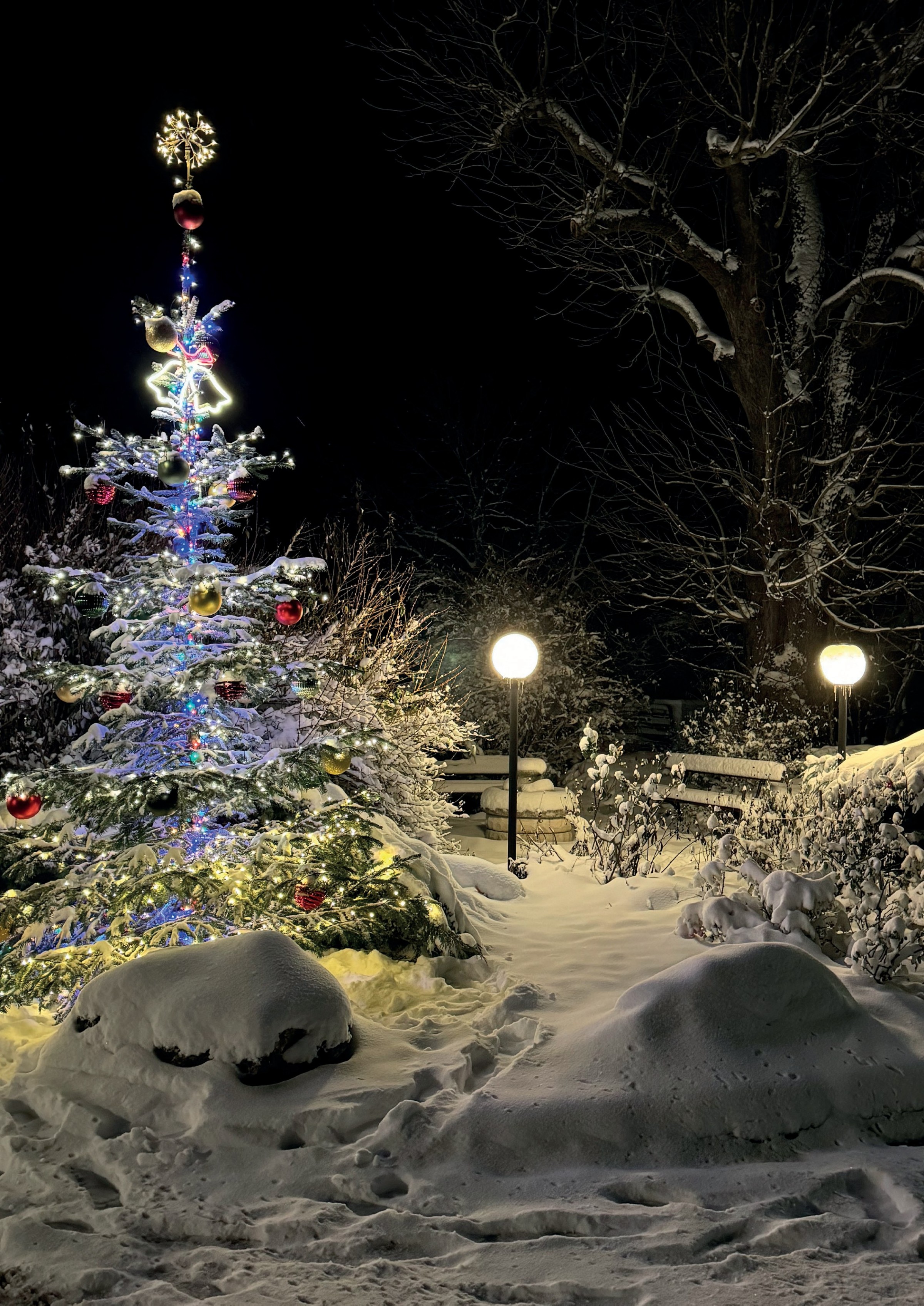 Nachts im Schnee: ein mit bunten Lichtern geschmückter Tannenbaum mit leuchtendem Stern, daneben zwei Laternen an einem verschneiten Weg zwischen dick verschneiten Büschen.